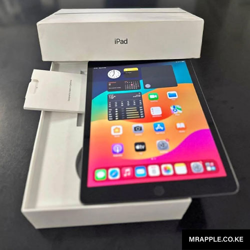 ipad-10-th-generation-256GB-with-WIFI--in-nairobi-Kenya-at-Mr-Apple-1